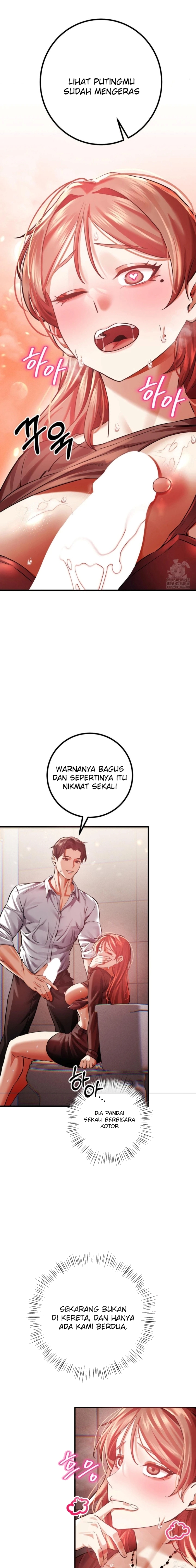 Halaman 11 dari 24