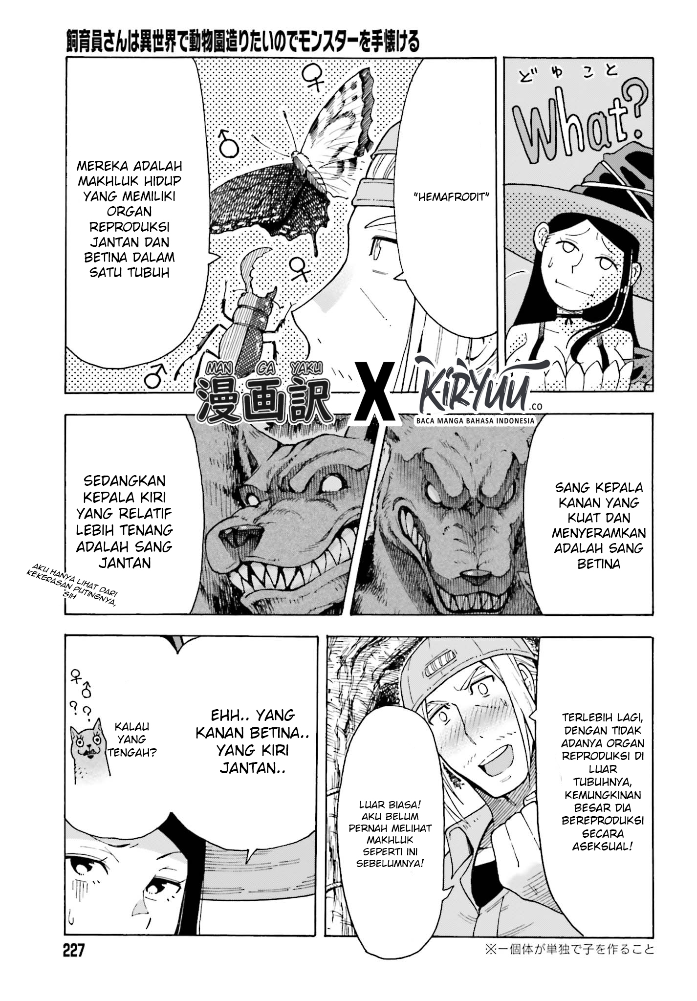 Halaman 11 dari 16