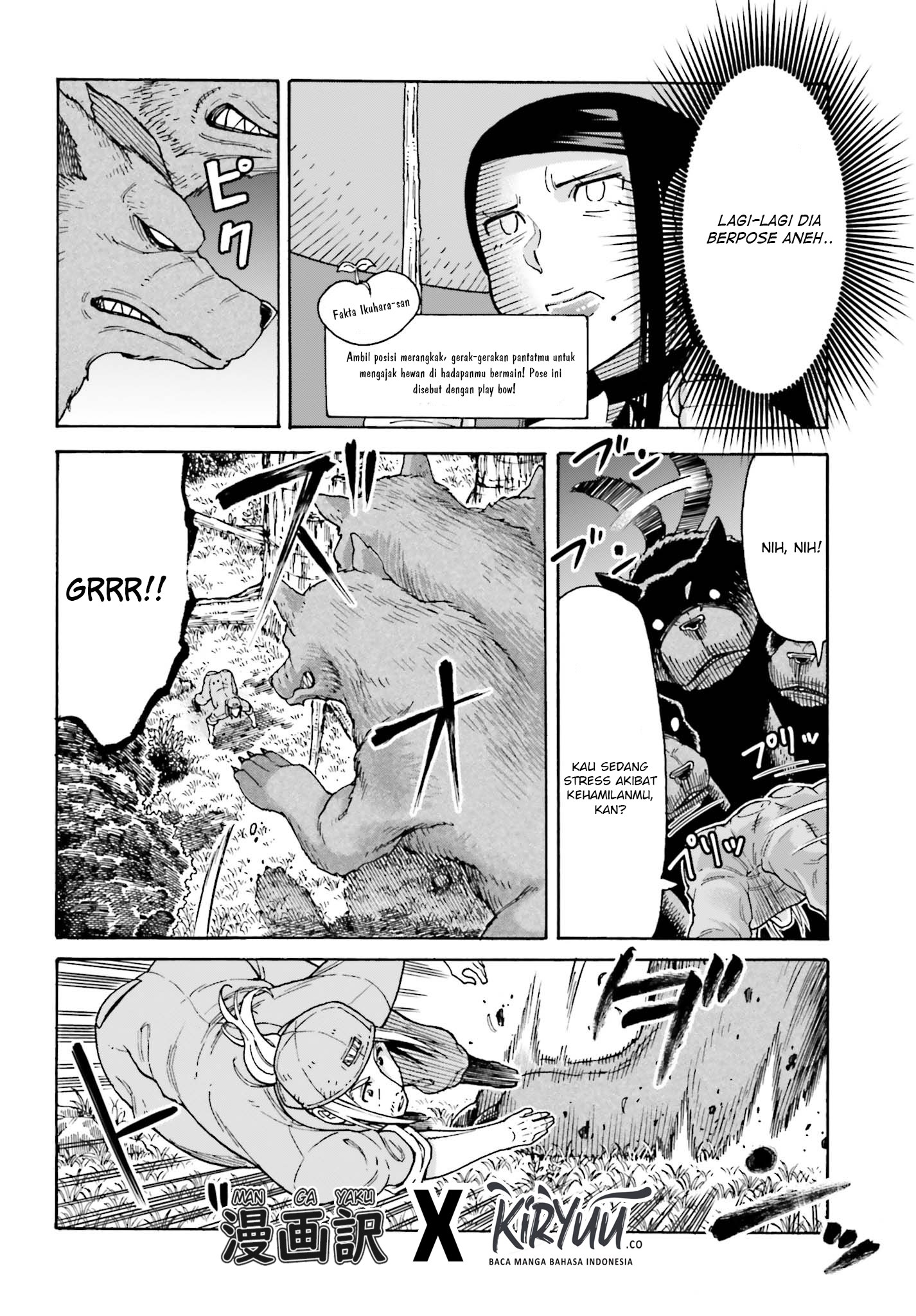 Halaman 5 dari 16