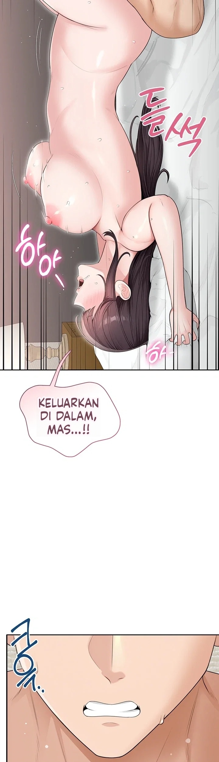 Halaman 17 dari 47
