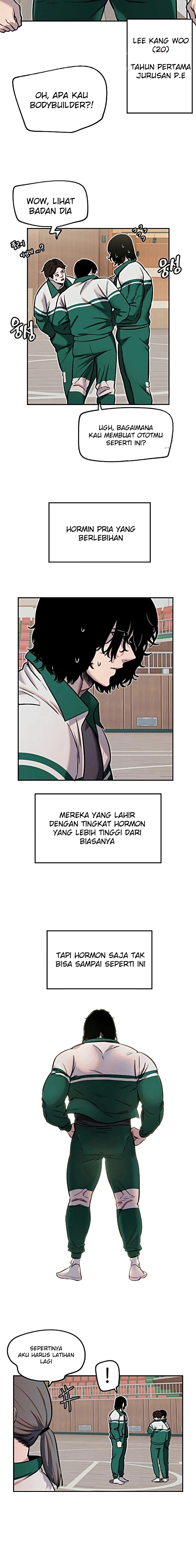 Halaman 4 dari 17