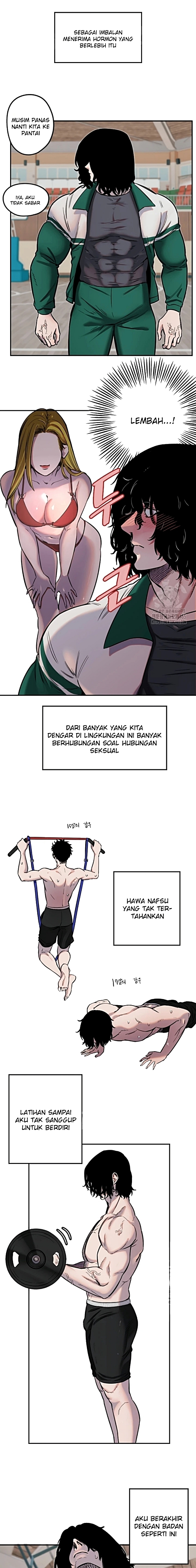 Halaman 5 dari 17