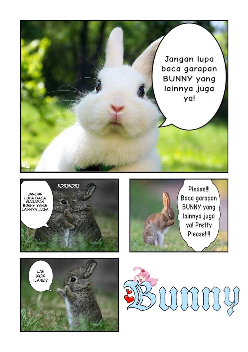 Halaman 13 dari 15