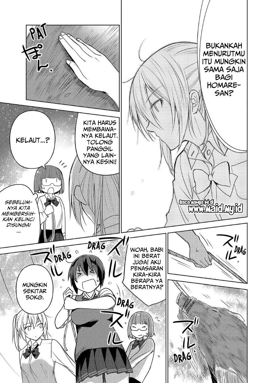 Halaman 13 dari 17