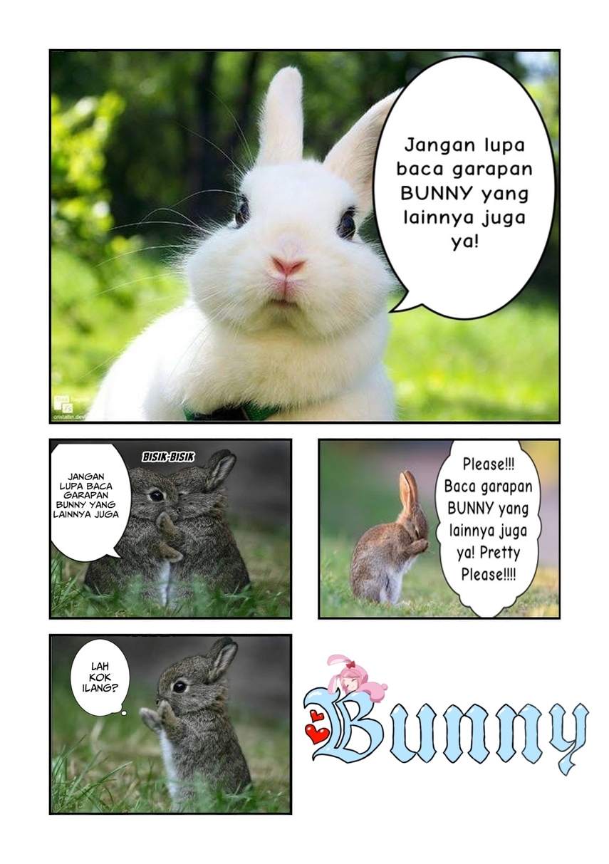Halaman 15 dari 17
