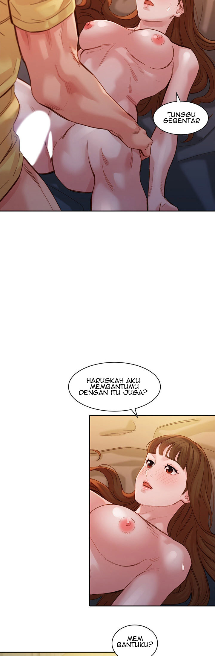 Halaman 41 dari 52
