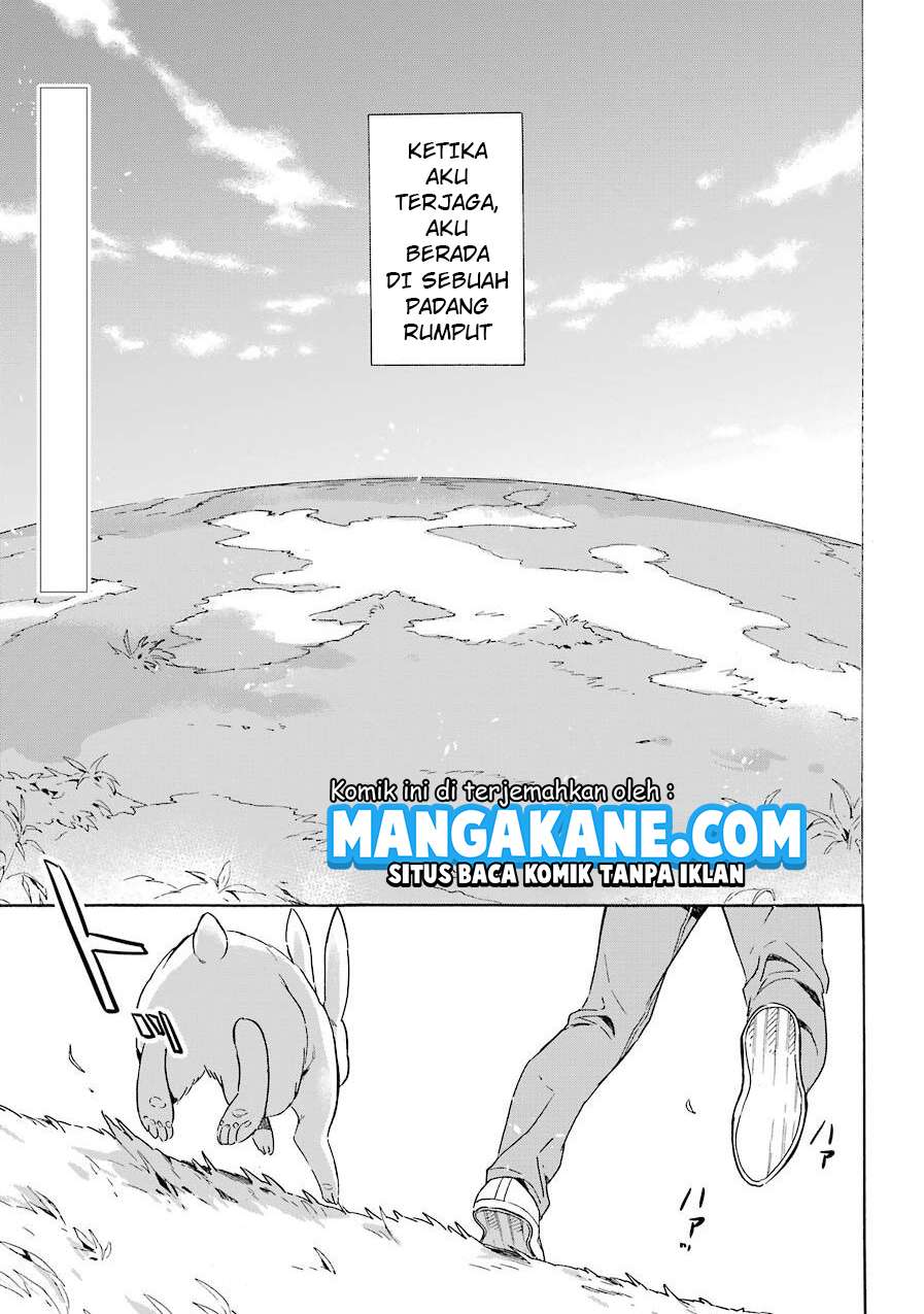 Halaman 3 dari 43