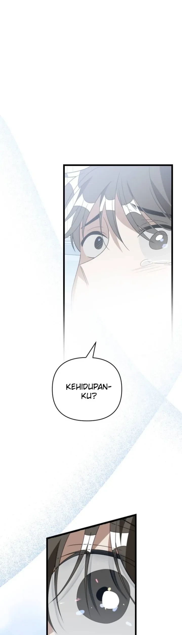 Halaman 43 dari 79