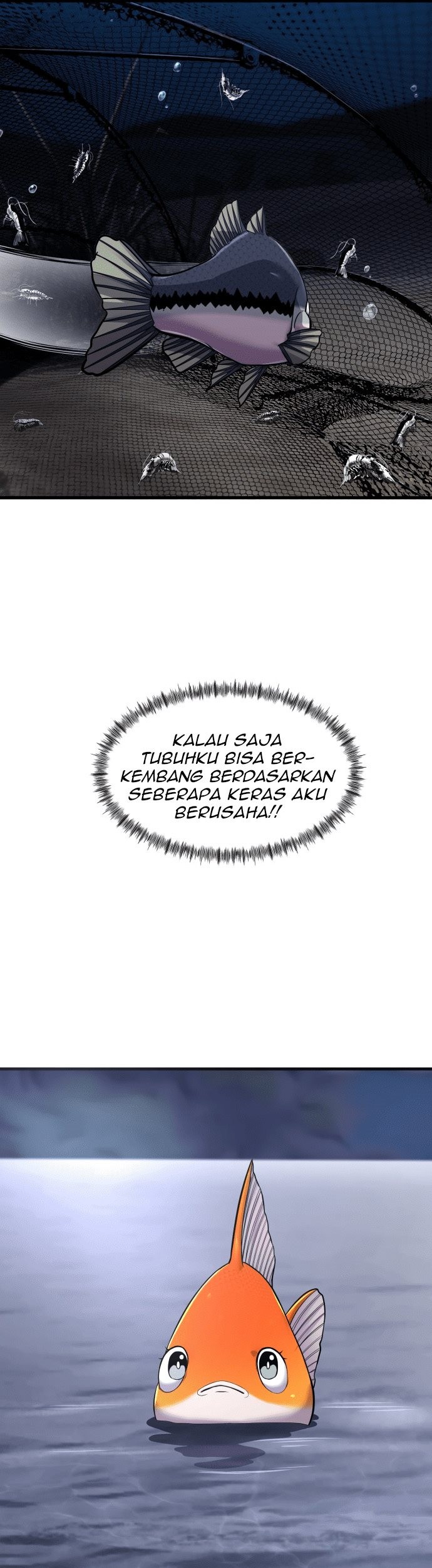Halaman 30 dari 54