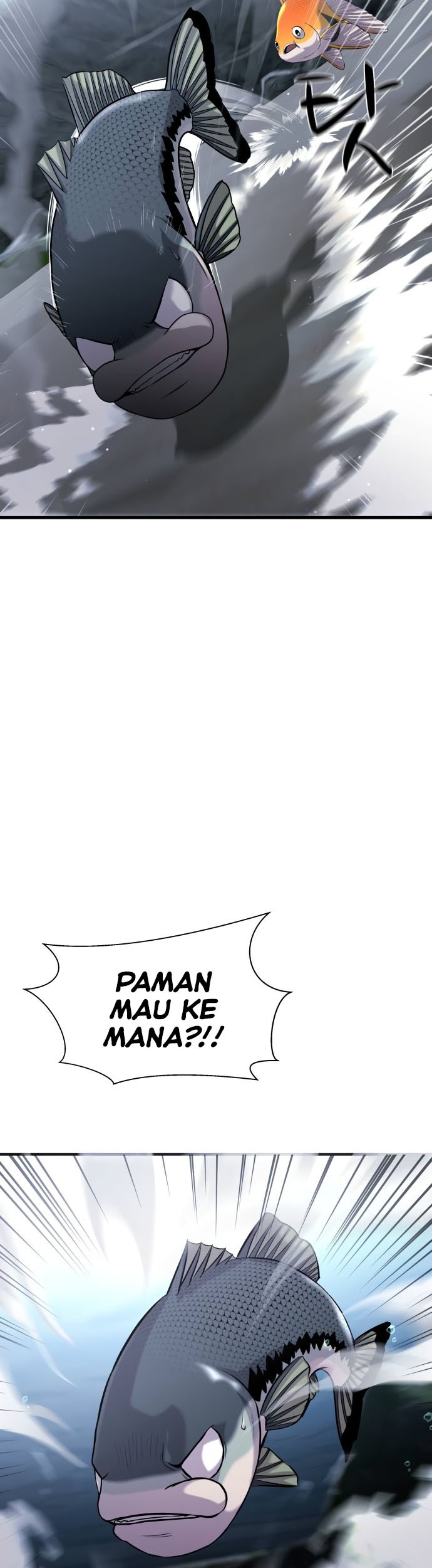 Halaman 48 dari 55
