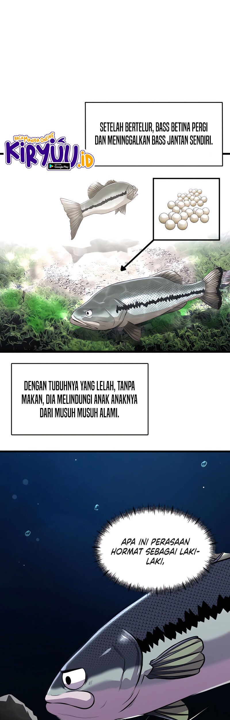 Halaman 25 dari 75