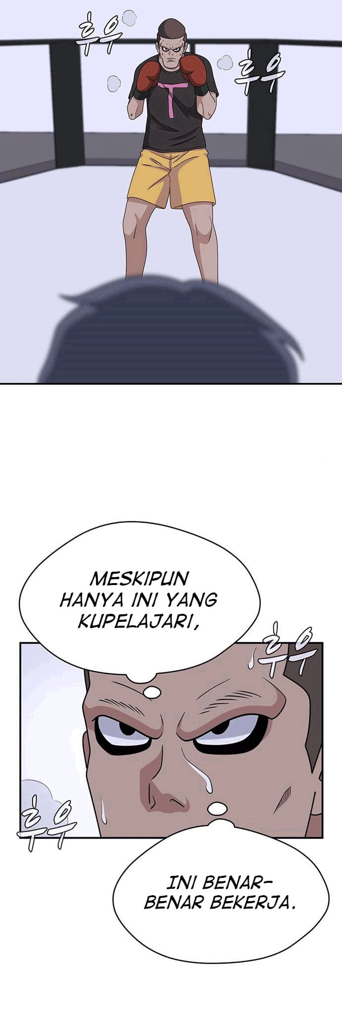 Halaman 29 dari 51