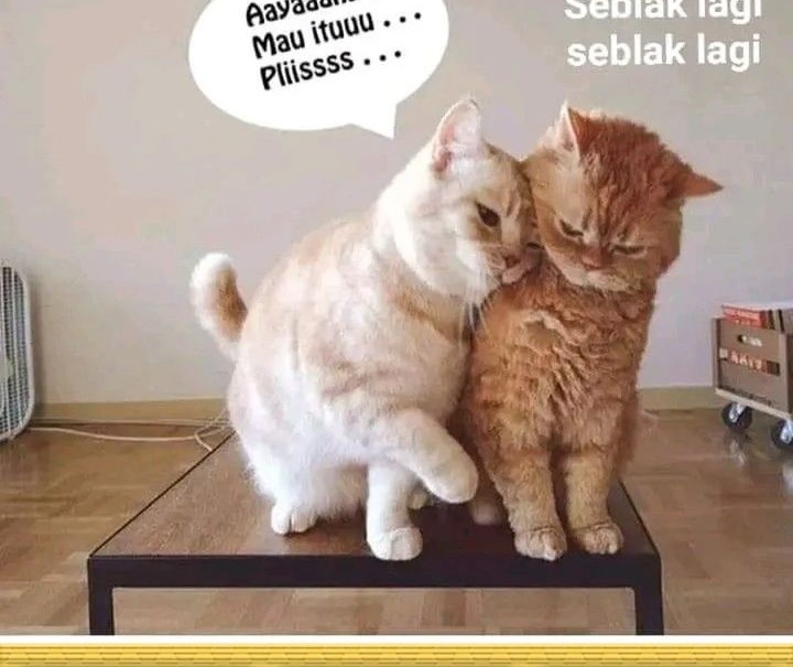 Halaman 77 dari 78