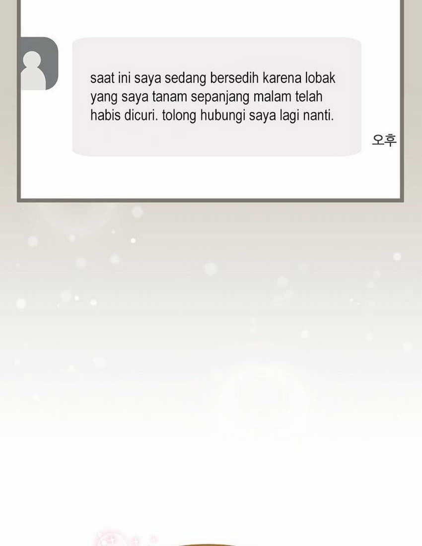 Halaman 41 dari 91
