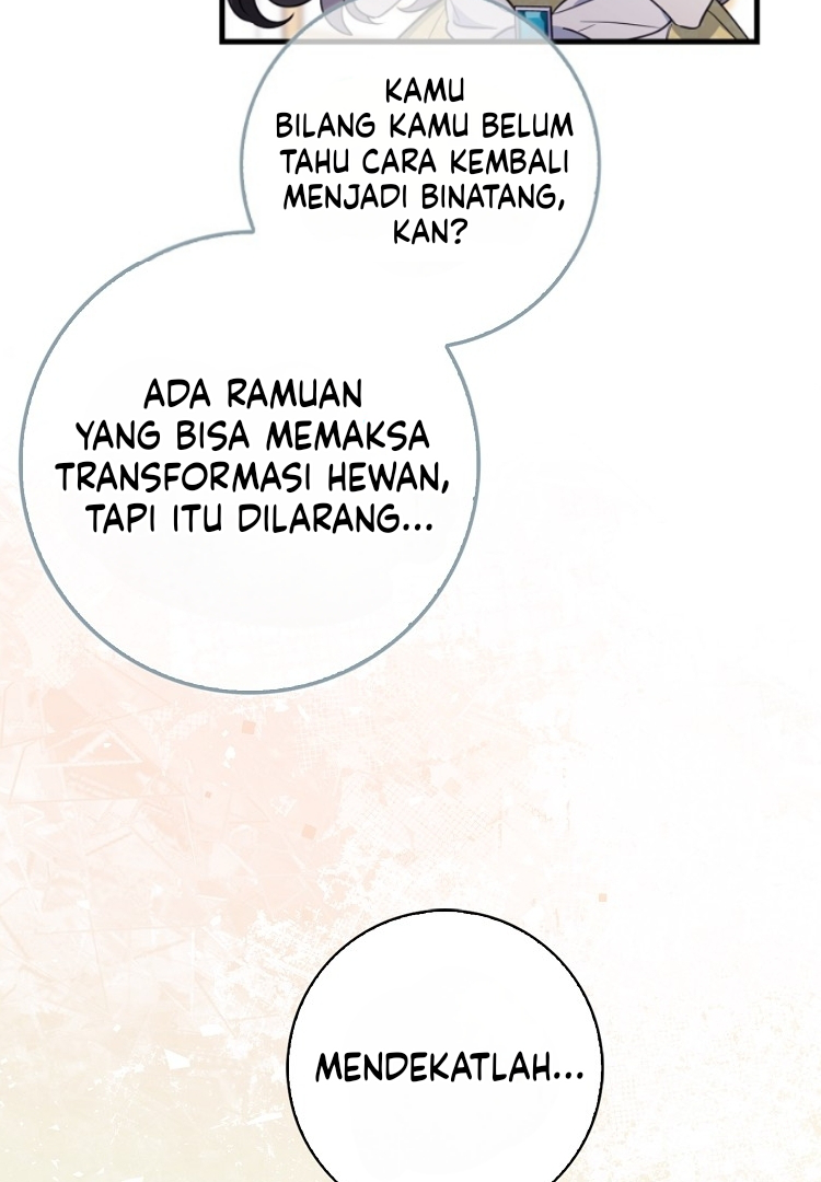 Halaman 62 dari 125