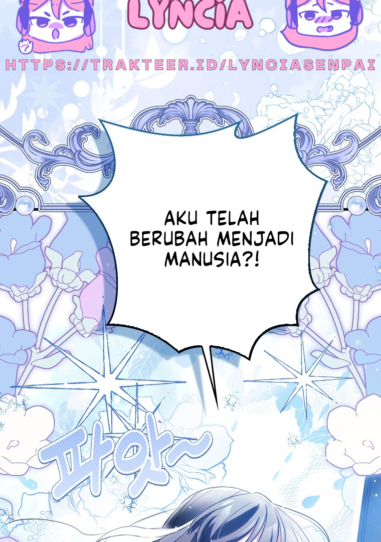 Halaman 38 dari 161