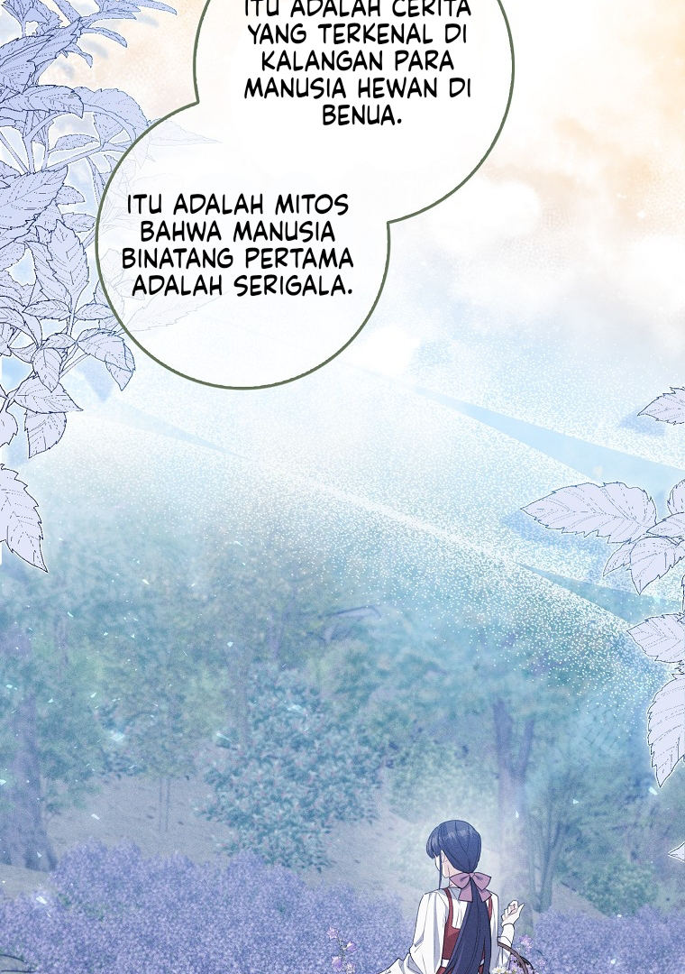Halaman 51 dari 107