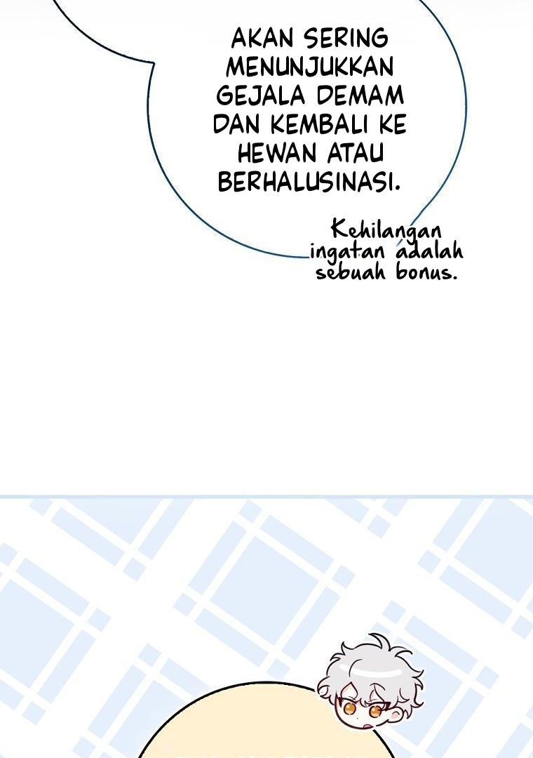 Halaman 62 dari 107