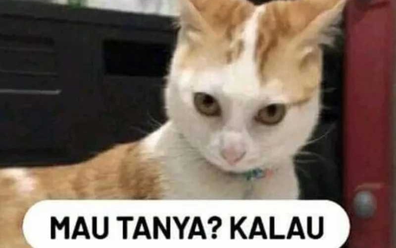 Halaman 124 dari 125