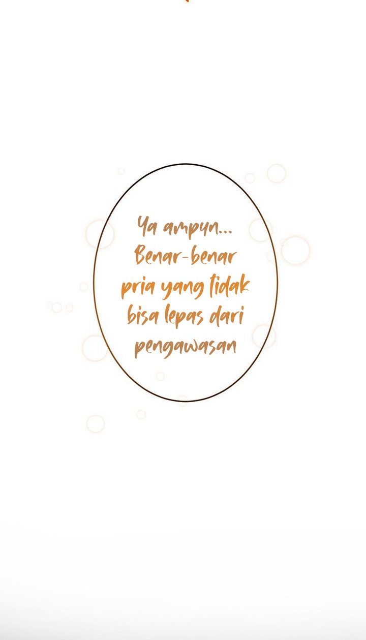 Halaman 29 dari 84