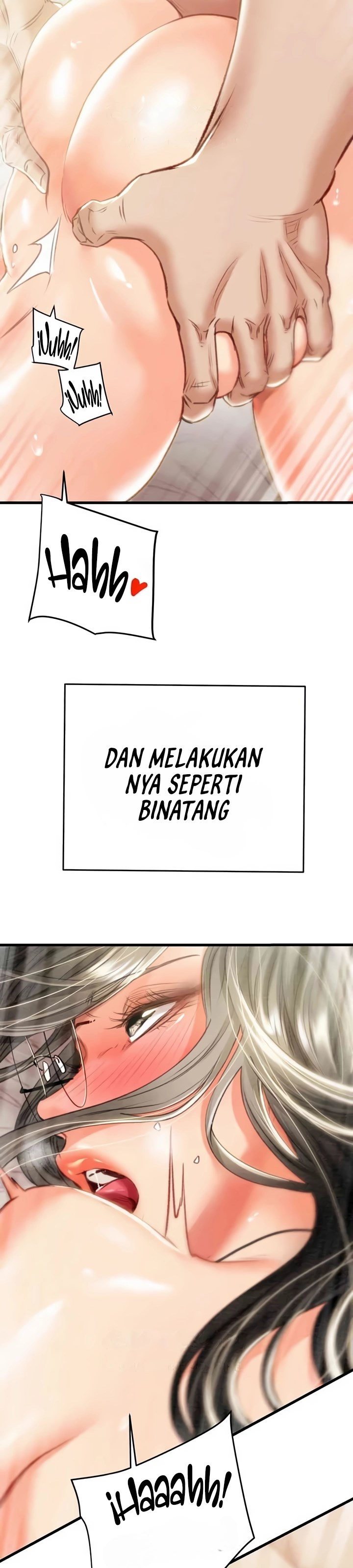 Halaman 17 dari 65