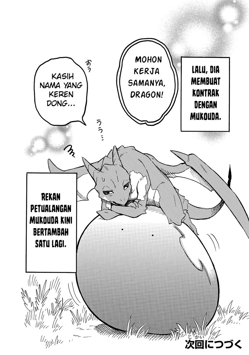 Halaman 17 dari 18