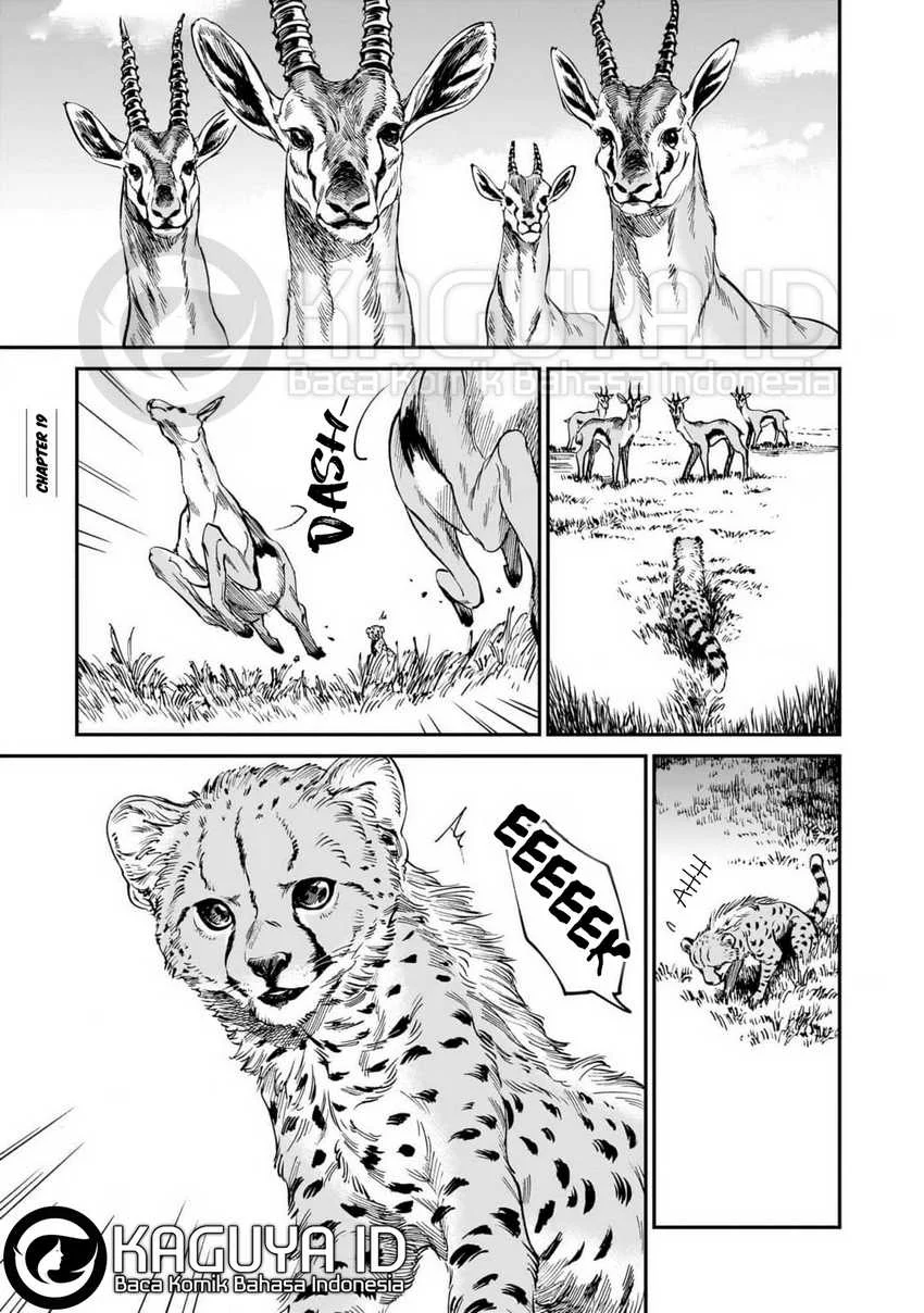 Halaman 4 dari 29