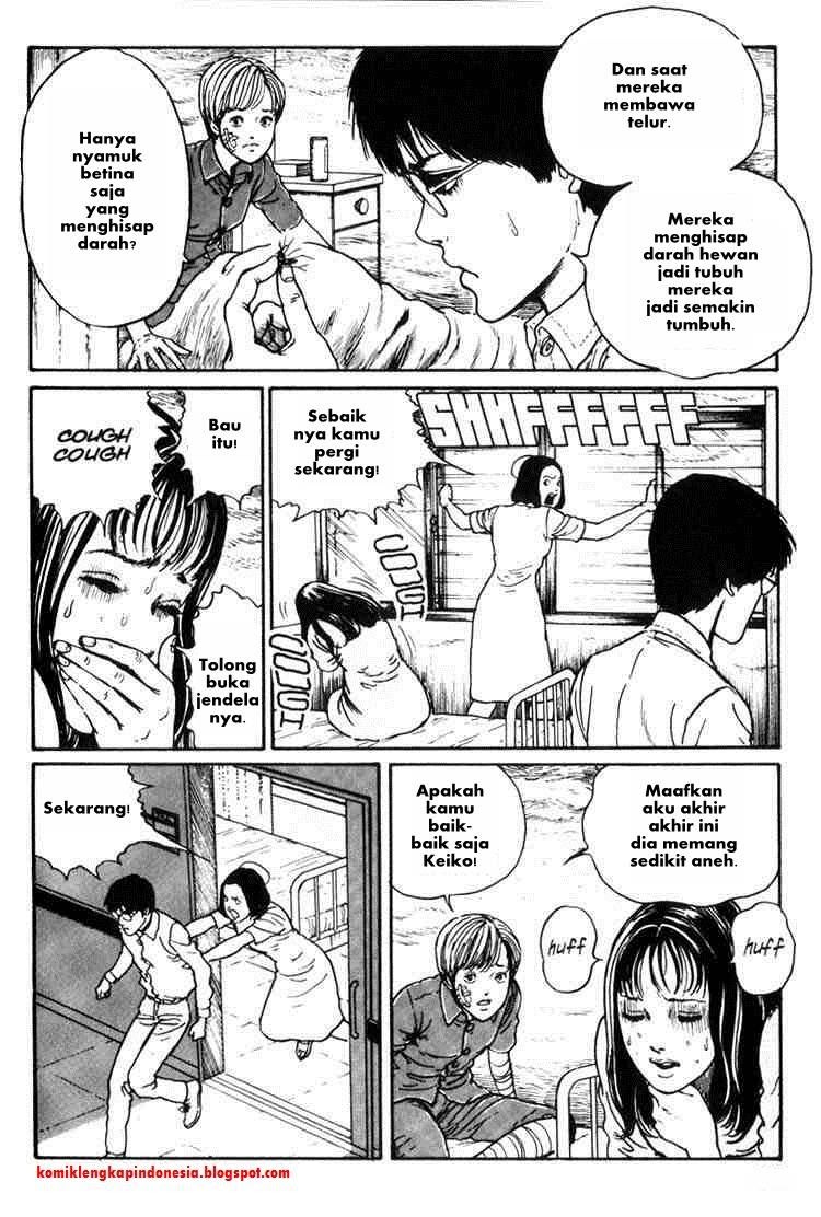 Halaman 15 dari 32