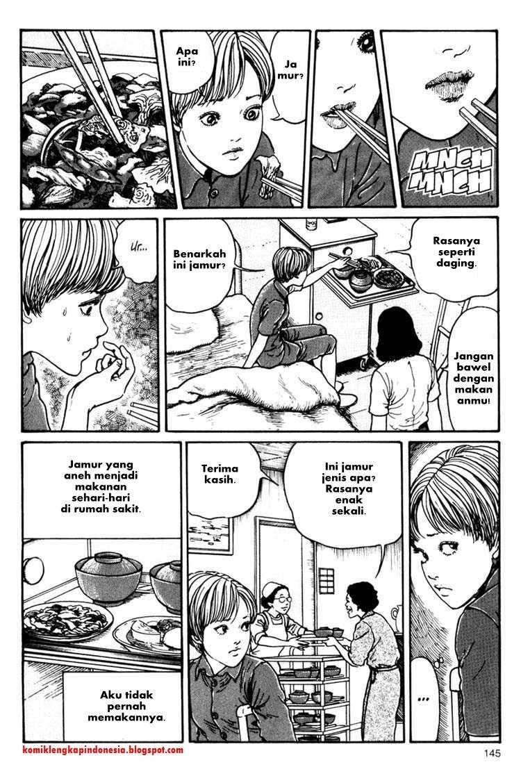 Halaman 15 dari 32