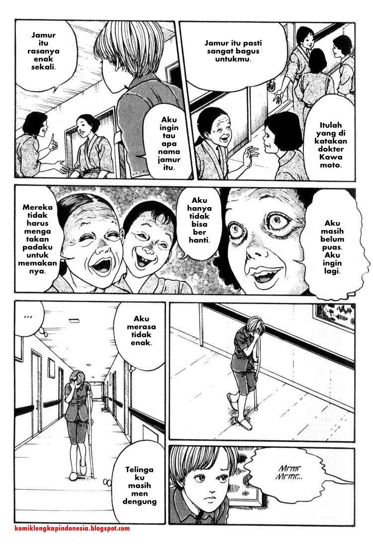 Halaman 16 dari 32