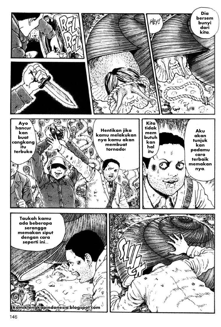 Halaman 16 dari 33