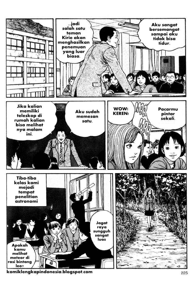 Halaman 7 dari 31