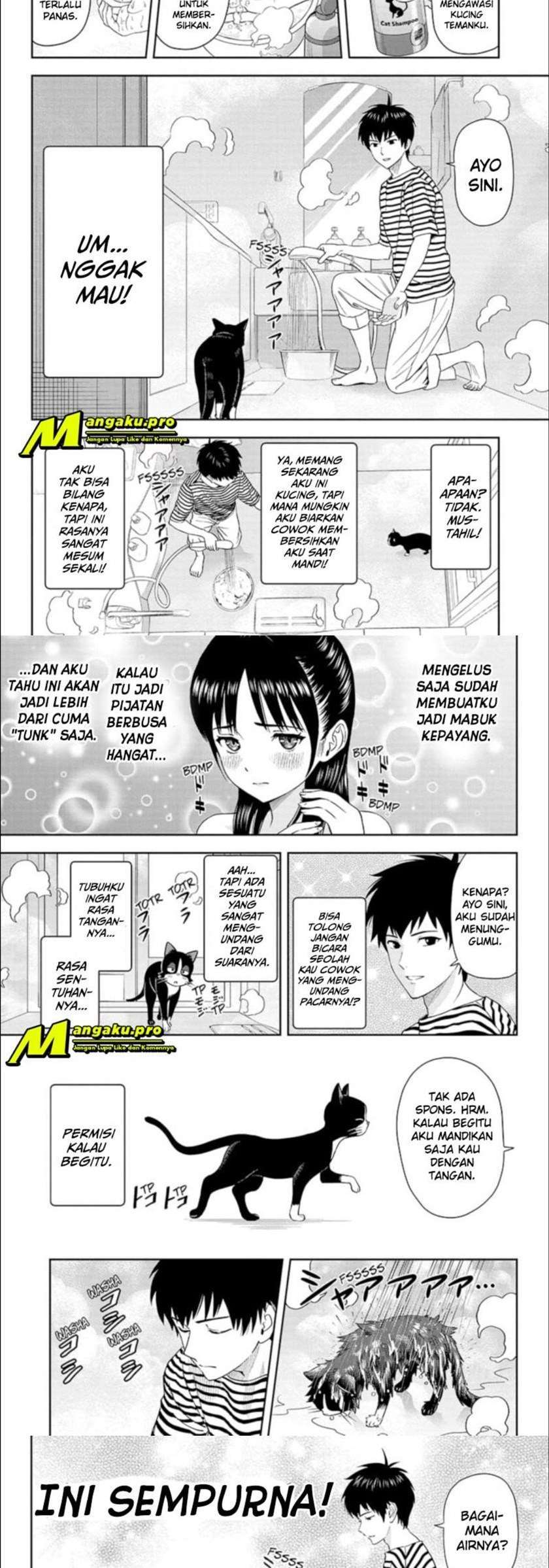 Halaman 4 dari 11
