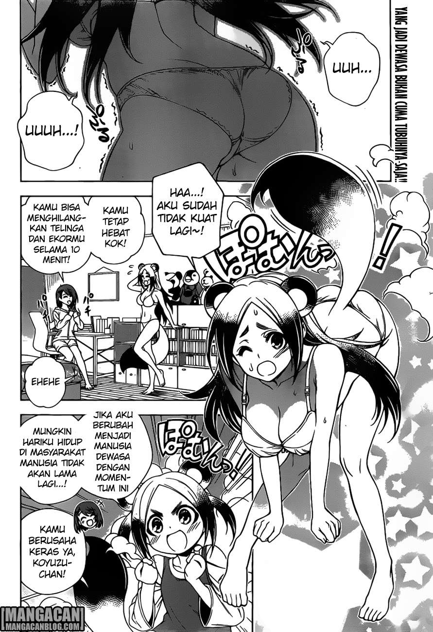Halaman 3 dari 20