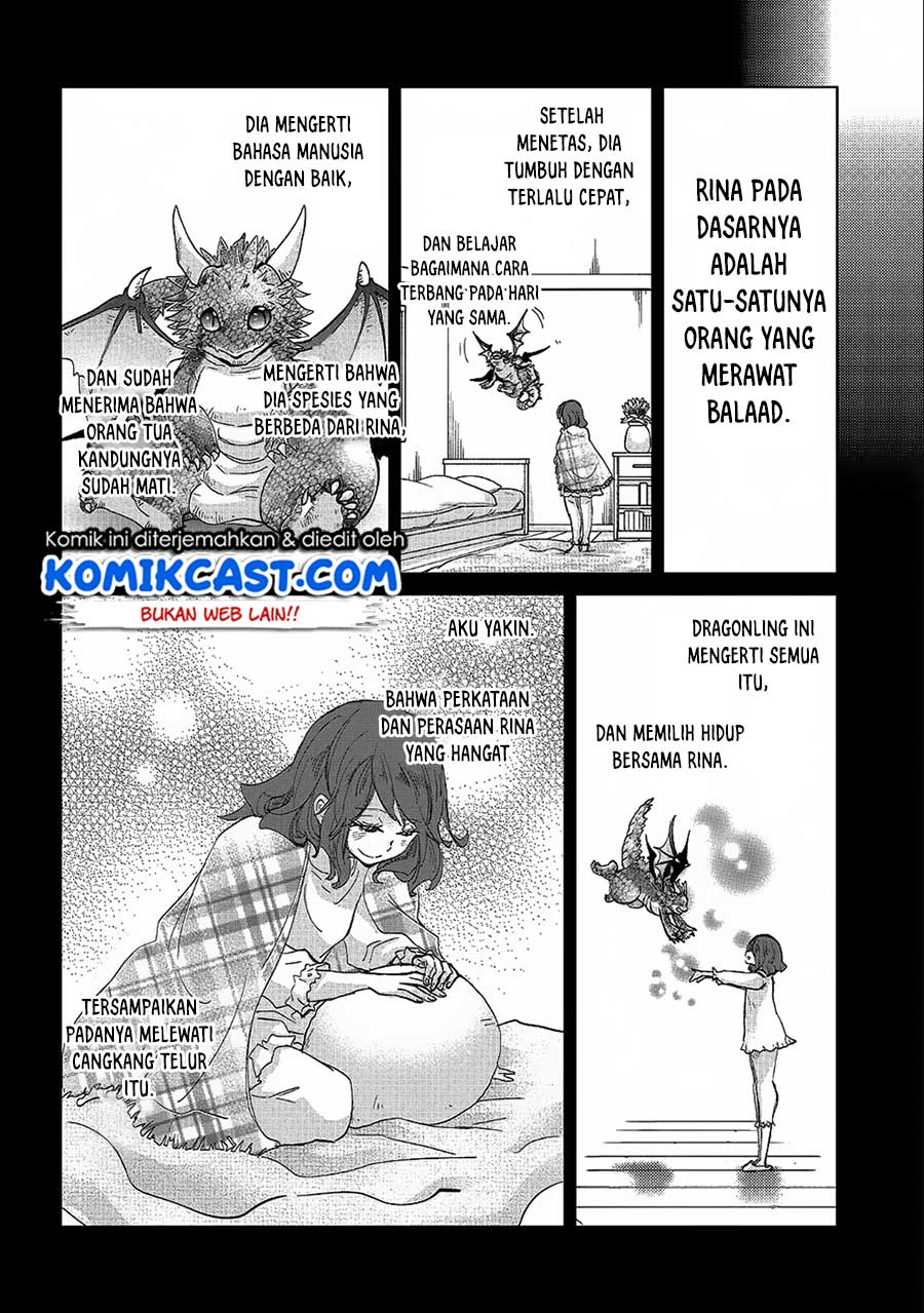 Halaman 5 dari 29